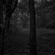 Untitled #2 (Trees and Farmhouse)